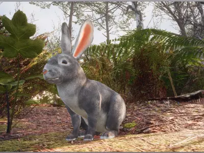 Realistic Rabbits Low-poly 3D model