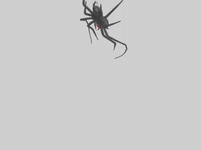 Black Widow Spider hanging model 3D model