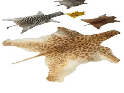 Skins of wild animals 3D model