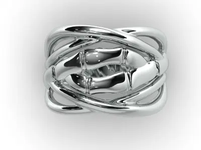Bamboo ring 3D print model