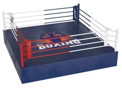 Boxing ring 3D model