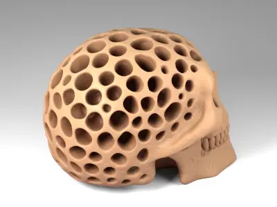 Organic Decorative Skull Figurine 3D print model