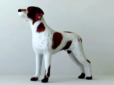 Dogs full body Low-poly 3D model