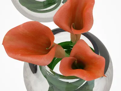 Callas small 3D model