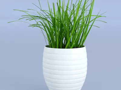 Flower Grass Pot 3D model