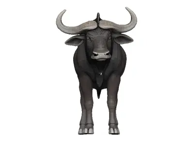 Buffalo Low-poly 3D model get