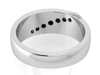 Channel Setting Band Ring 3570 3D print model