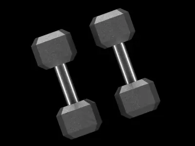 Dumbbells two 3D model purchase
