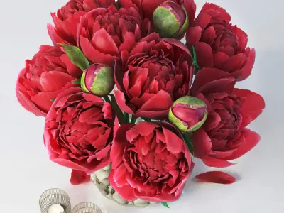 Flowers Peony 3D model