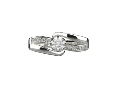ring code 214 3D print model