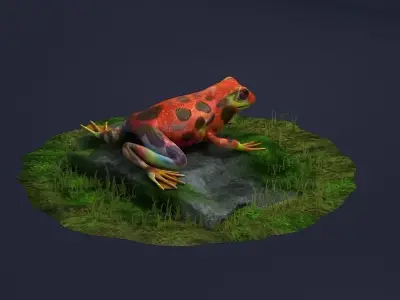 Jungle frogs poison dart frogs rainforest frogs Amphibians 3D model