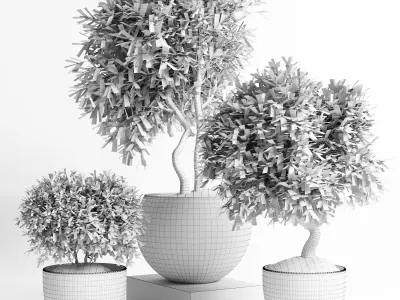 Outdoor plant in concrete pot 12 Low-poly 3D model