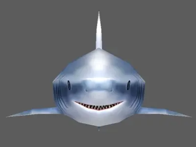Shark Low-poly 3D model