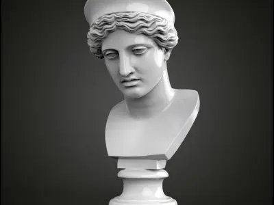 Bust of Hera 3D print model