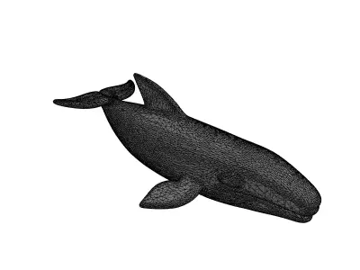 Golden Whale Sculpture Model Low-poly 3D model