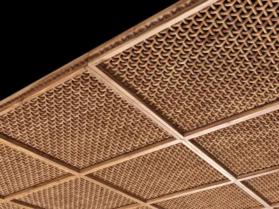 Ceiling crooked thick branch rattan n1 3D model