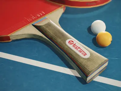 Ping Pong Paddle and Ball Low-poly 3D model