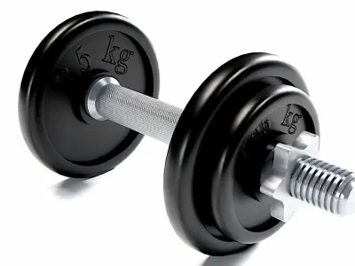 Dumbbell 3D model buy