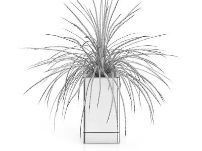 Small Plant in Wooden Pot 3D model