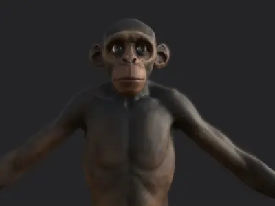 Monkey gameready PBR chimpanzee Low-poly 3D model