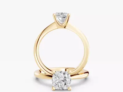 ZABS009A CUS engagement 3D print model