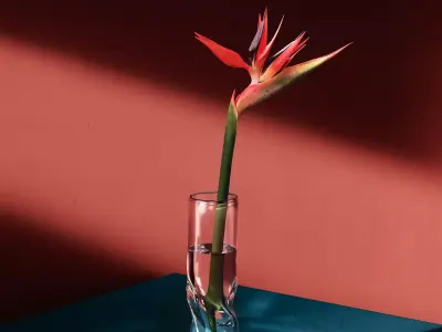 Strelitzia flower 3D model