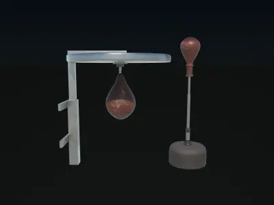 Reflex Punch Bag 3D model