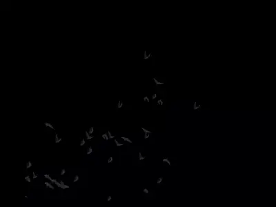Bats Swarm Animation  Low-poly 3D model