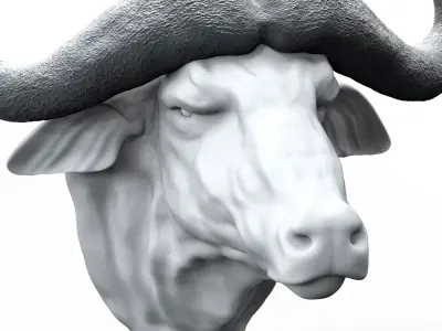 African Buffalo Head Statue 3D print model