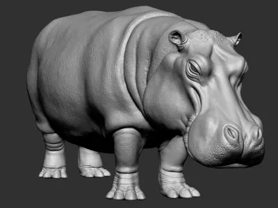 Animation ready  3d Hippo Model 3D model