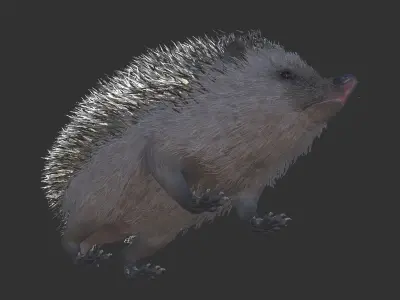 Hedgehog Low-poly 3D model