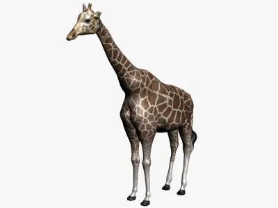 giraffe with clean topology and nice texture  3D model