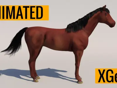 Animated Horse 3D model