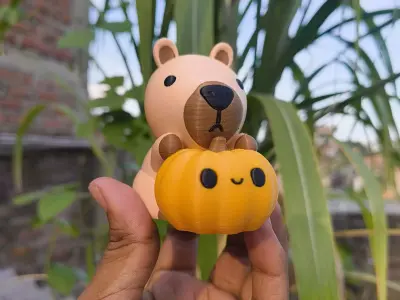 Halloween Special - Capybara 3D print model