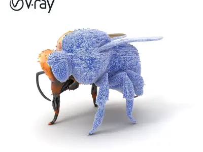 Rusty Patched Bumblebee Realistic Model Pack Low-poly 3D model