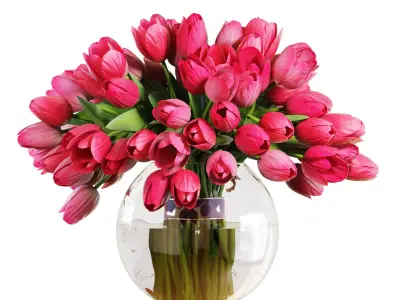 Flower Set 19 - Pink Tulips Bouquet 3D model