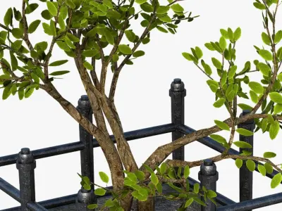 Modern Landscape Plant Green 3D model