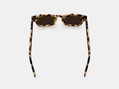 Kimball Sunglasses in Marzipan Tortoise 3D model
