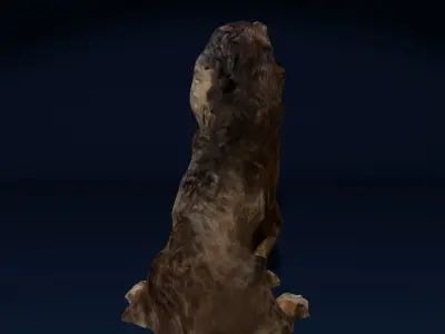 Sitting Cocker Spaniel Dog Photoscan Low-poly 3D model