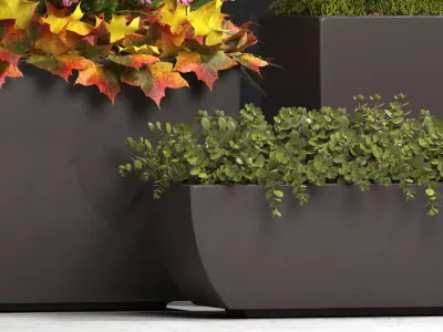 plants set 121 3D model