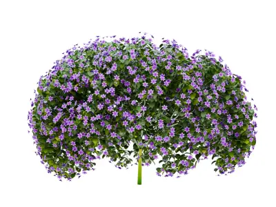 PBR Petunia Flower for Outdoor Environments Low-poly 3D model