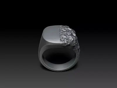 Signet Ring Sculptural Jewelry Design 3D print model