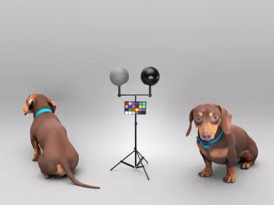 Dachshund dog 26 Low-poly 3D model