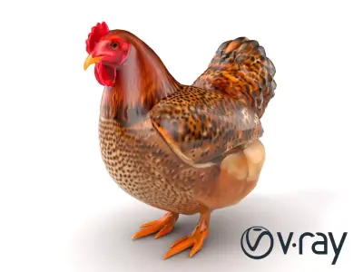 Speckled Chicken 3D Model Pack Low-poly 3D model