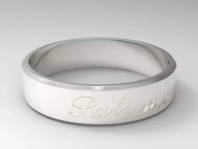 Patience Ring Silver 3D print model