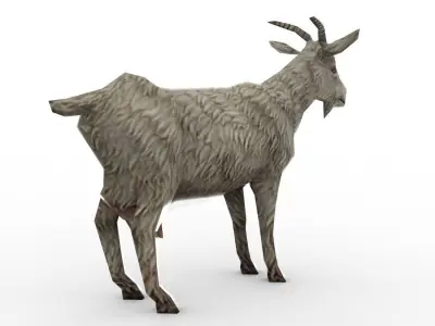 Animal - Goat Low-poly 3D model