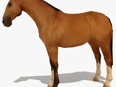 LowPoly Horses Collection volume 1 Low-poly 3D model