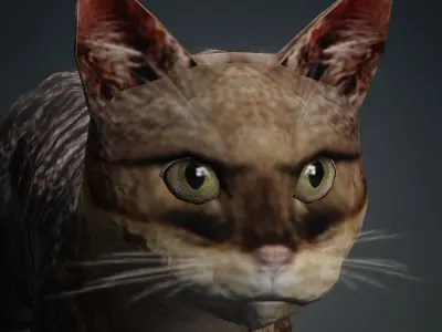 Animated Low poly Cat Low-poly 3D model