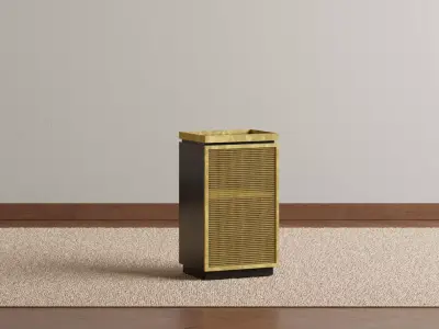 Brass Wire Mesh Cabinet 3D model