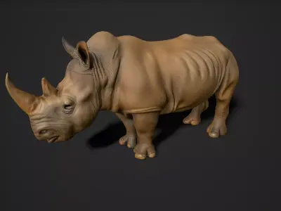 Rhino 3d model Low-poly 3D model